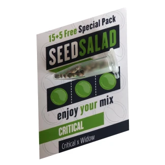 SEEDSALAD - CRITICAL FEM | 15+5 SEMI GRATIS