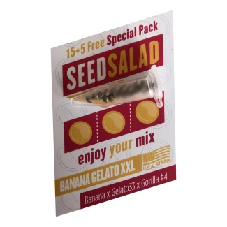 SEEDSALAD - BANANA GELATO XXL FEM (USA EDITION) | 15+5 SEMI GRATIS