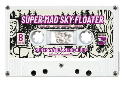 SUPER SATIVA SEED CLUB - SUPER MAD SKY FLOATER FEM | 3 SEMI
