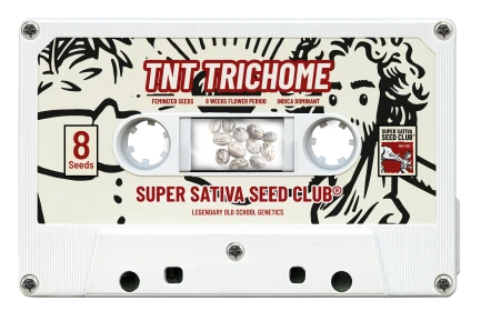 SUPER SATIVA SEED CLUB - TNT TRICHOME FEM | 5 SEMI