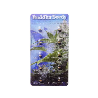 BUDDHA SEEDS - WHITE DWARF AUTO FEM | BLISTER 1x10 SEMI