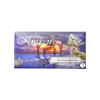 BUDDHA SEEDS - KRAKEN FEM | 3 SEMI