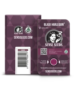SENSI SEEDS BANK - BLACK HARLEQUIN FEM | 3 SEMI