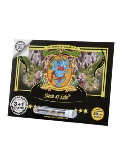 SWEET SEEDS - JASWEET SEEDS - JACK 47 AUTO® (SWS31) | 5+2 SEMICK 47 AUTO® (SWS31) | 5+2 SEMI