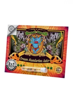 SWEET SEEDS - CREAM MANDARINE AUTO® FEM (SWS29) | 25 SEMI