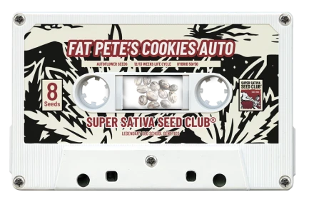 SUPER SATIVA SEED CLUB - FAT PETE'S COOKIES AUTO FEM | 5 SEMI