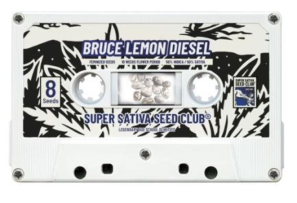 SUPER SATIVA SEED CLUB - BRUCE LEMON DIESEL FEM | 8 SEMI