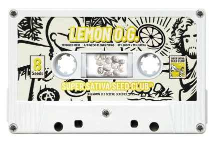 SUPER SATIVA SEED CLUB - LEMON OG FEM | 5 SEMI