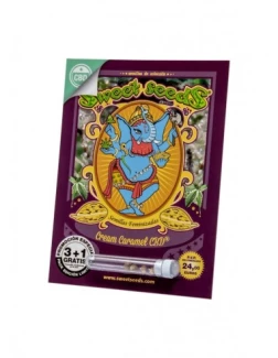 SWEET SEEDS - CREAM CARAMEL CBD® FEM (SWS67) | 5+2 SEMI