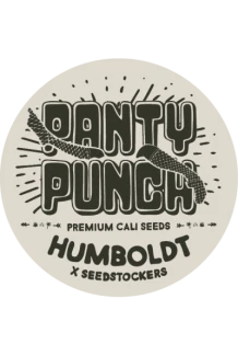 SEEDSTOCKERS - PANTY PUNCH AUTO FEM (SUPERIOR) | 25 SEMI
