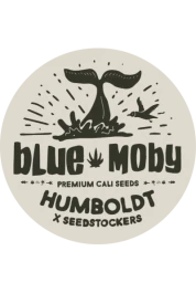 SSTKHF0003059 - SEEDSTOCKERS - BLUE MOBY AUTO FEM (SUPERIOR) | 3 SEMI