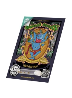 SWEET SEEDS - BLACK JACK CBD® FEM (SWS68) | 5+2 SEMI