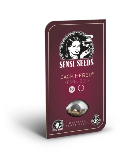 SENSI SEEDS BANK - JACK HERER FEM | 5 SEMI