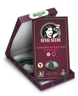 SENSI SEEDS BANK - NORTHERN LIGHTS #5 X HAZE FEM | 1 SEME