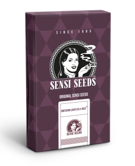 SENSI SEEDS BANK - NORTHERN LIGHTS #5 X HAZE FEM | 1 SEME