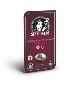 SENSI SEEDS BANK - NORTHERN LIGHTS #5 X HAZE FEM | 3 SEMI