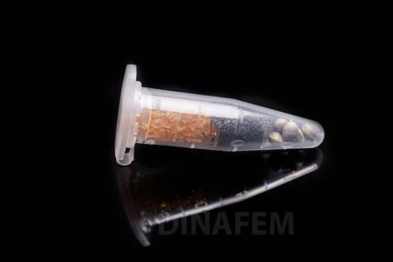 QUICK DINAMED CBD 3 SEMI FEMM DINAFEM