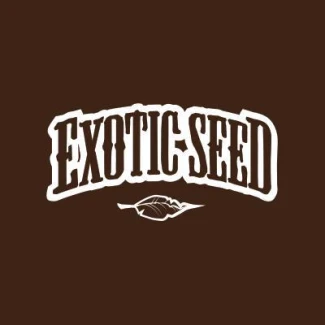 EXOTIC SEED - SPICY BITCH FEM | 3 SEMI